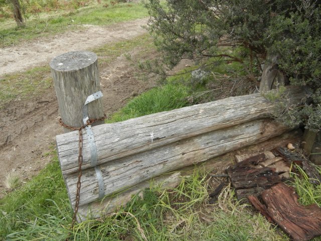 Fencing posts in the Gully, Katoomba